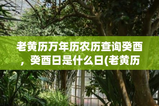 老黄历万年历农历查询癸酉，癸酉日是什么日(老黄历万年历农历911查询)