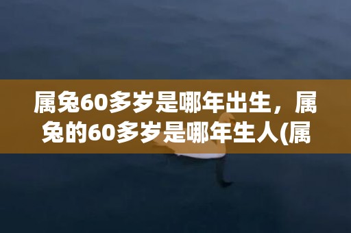 属兔60多岁是哪年出生，属兔的60多岁是哪年生人(属兔60多岁是哪一年)