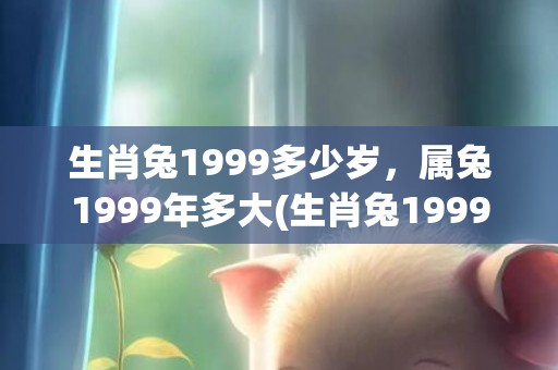 生肖兔1999多少岁，属兔1999年多大(生肖兔1999多少岁)