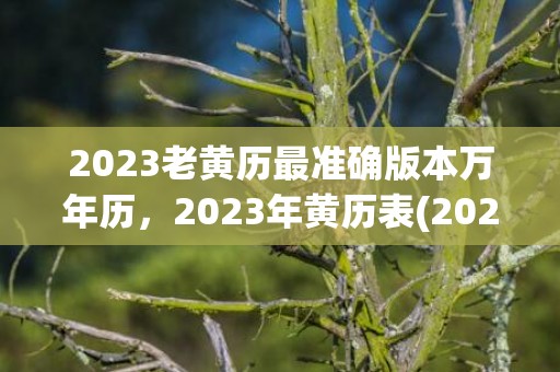 2023老黄历最准确版本万年历，2023年黄历表(2023老黄历最准确版本万年历6月黄道日)