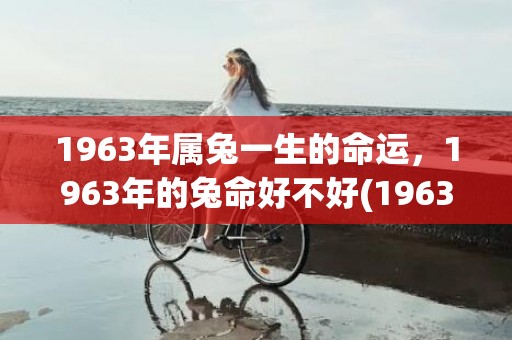 1963年属兔一生的命运，1963年的兔命好不好(1963年属兔一生命运)