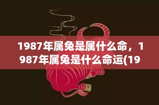 1987年属兔是属什么命，1987年属兔是什么命运(1987年属兔是火命还是木命)