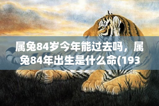 属兔84岁今年能过去吗，属兔84年出生是什么命(1939属兔人84岁今年会怎么样)