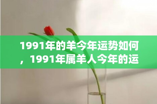 1991年的羊今年运势如何，1991年属羊人今年的运势怎么样(1991年的羊今年多大了?)