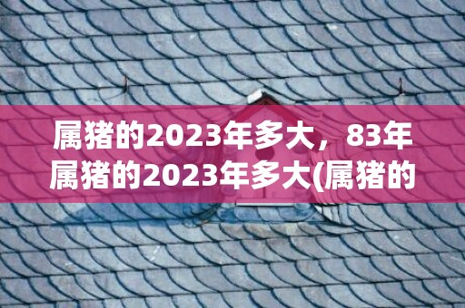 属猪的2023年多大，83年属猪的2023年多大(属猪的2023年8月份运势)