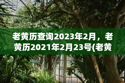 老黄历查询2023年2月，老黄历2021年2月23号(老黄历查询2023年911查询)