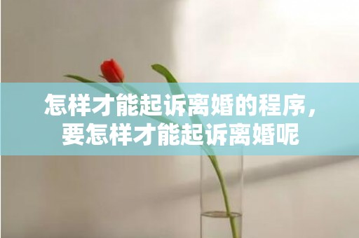 怎样才能起诉离婚的程序，要怎样才能起诉离婚呢