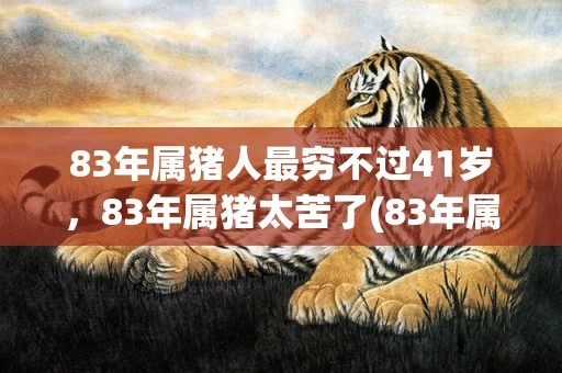 83年属猪人最穷不过41岁，83年属猪太苦了(83年属猪人最穷不过41岁男)