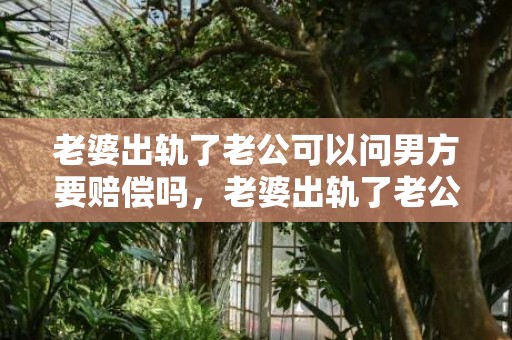 老婆出轨了老公可以问男方要赔偿吗，老婆出轨了老公可以去法院告情人吗知乎