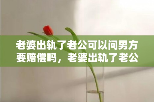 老婆出轨了老公可以问男方要赔偿吗，老婆出轨了老公可以去法院告情人吗怎么办