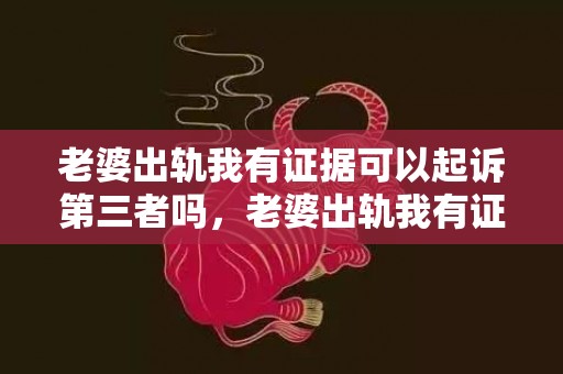 老婆出轨我有证据可以起诉第三者吗，老婆出轨我有证据能告诉对方的老婆吗