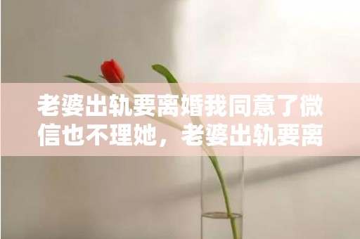 老婆出轨要离婚我同意了微信也不理她，老婆出轨要离婚我不想离婚怎么办还能挽回吗