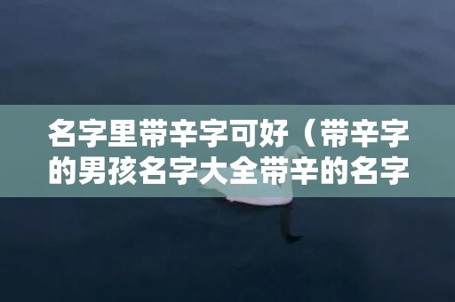 名字里带辛字可好（带辛字的男孩名字大全带辛的名字好不好）