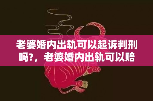 老婆婚内出轨可以起诉判刑吗?，老婆婚内出轨可以赔偿我多少钱呢知乎全文