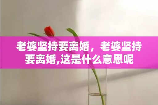 老婆坚持要离婚，老婆坚持要离婚,这是什么意思呢