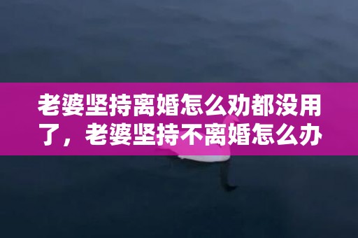 老婆坚持离婚怎么劝都没用了，老婆坚持不离婚怎么办