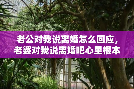 老公对我说离婚怎么回应，老婆对我说离婚吧心里根本没都是我为了孩子