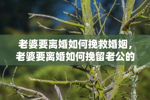 老婆要离婚如何挽救婚姻，老婆要离婚如何挽留老公的话语