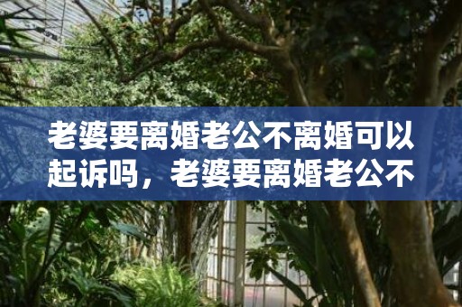 老婆要离婚老公不离婚可以起诉吗，老婆要离婚老公不同意怎么处理