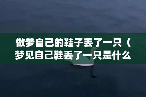 做梦自己的鞋子丢了一只（梦见自己鞋丢了一只是什么意思梦见自己鞋丢一只表示什么_...）