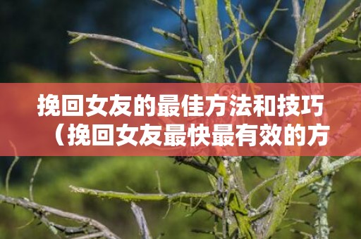 挽回女友的最佳方法和技巧（挽回女友最快最有效的方法）