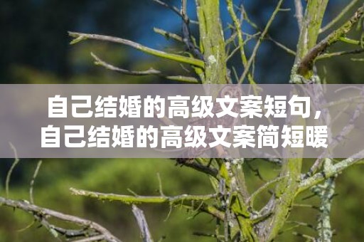 自己结婚的高级文案短句，自己结婚的高级文案简短暖心