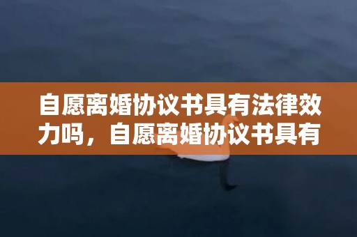 自愿离婚协议书具有法律效力吗，自愿离婚协议书具有法律效力吗怎么写的