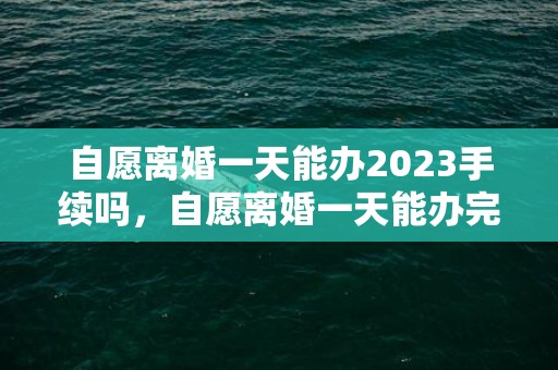 自愿离婚一天能办2023手续吗，自愿离婚一天能办完吗快速离婚手续流程