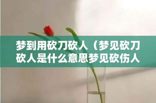 梦到用砍刀砍人（梦见砍刀砍人是什么意思梦见砍伤人是什么意思）