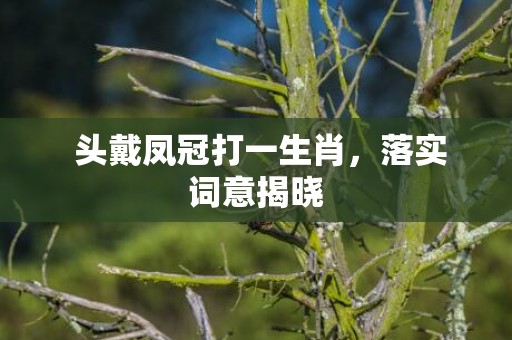  头戴凤冠打一生肖，落实词意揭晓