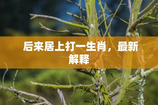  后来居上打一生肖，最新解释