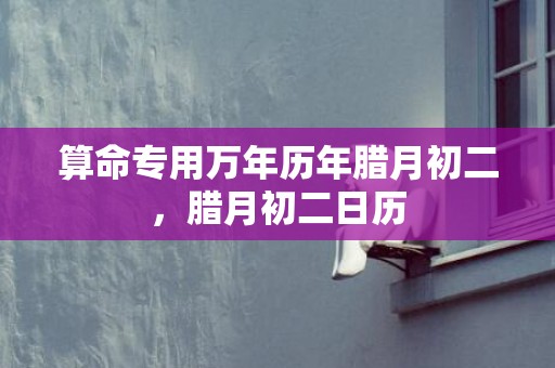 算命专用万年历年腊月初二，腊月初二日历