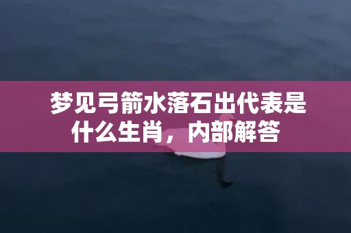  梦见弓箭水落石出代表是什么生肖，内部解答