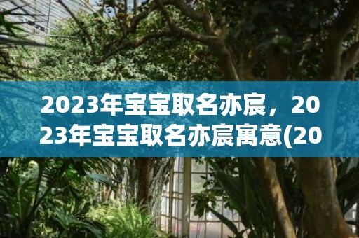 2023年宝宝取名亦宸，2023年宝宝取名亦宸寓意(2023年宝宝取名宜忌)