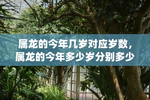 属龙的今年几岁对应岁数，属龙的今年多少岁分别多少岁(属龙的今年有没有灾)