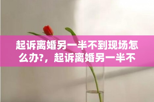 起诉离婚另一半不到现场怎么办?，起诉离婚另一半不到现场怎么办