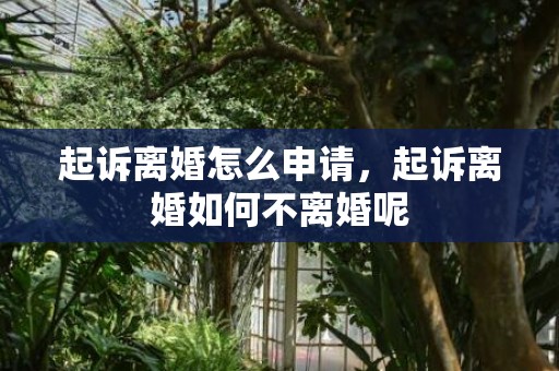 起诉离婚怎么申请，起诉离婚如何不离婚呢