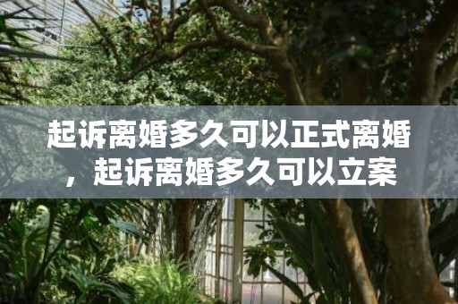 起诉离婚多久可以正式离婚，起诉离婚多久可以立案