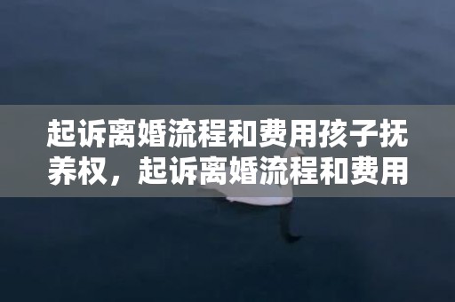 起诉离婚流程和费用孩子抚养权，起诉离婚流程和费用2020年多少钱呢怎么算