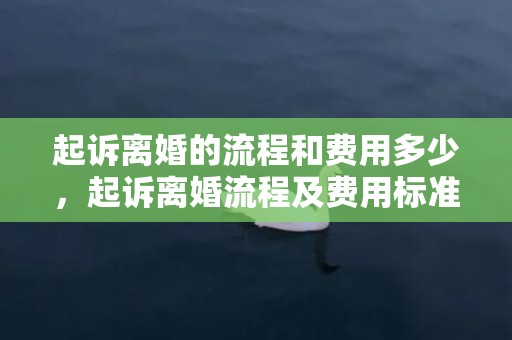 起诉离婚的流程和费用多少，起诉离婚流程及费用标准是多少钱一次