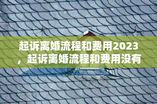 起诉离婚流程和费用2023，起诉离婚流程和费用没有财产纠纷不用请律师撒