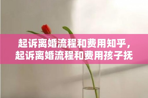 起诉离婚流程和费用知乎，起诉离婚流程和费用孩子抚养权一样吗怎么写协议