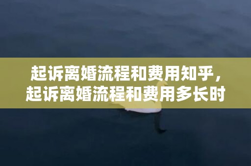 起诉离婚流程和费用知乎，起诉离婚流程和费用多长时间到账