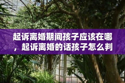 起诉离婚期间孩子应该在哪，起诉离婚的话孩子怎么判