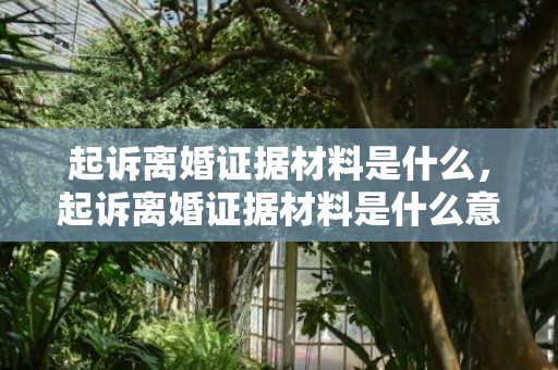 起诉离婚证据材料是什么，起诉离婚证据材料是什么意思啊怎么写