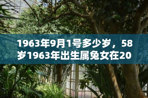 1963年9月1号多少岁，58岁1963年出生属兔女在2021年上半年运势好不好