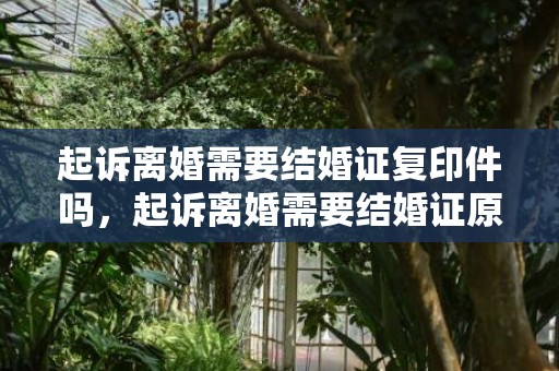 起诉离婚需要结婚证复印件吗，起诉离婚需要结婚证原件吗