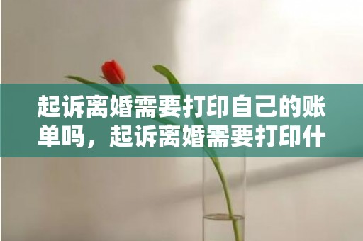 起诉离婚需要打印自己的账单吗，起诉离婚需要打印什么材料证明