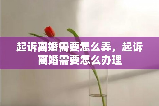 起诉离婚需要怎么弄，起诉离婚需要怎么办理