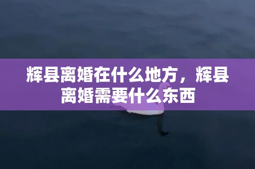 辉县离婚在什么地方，辉县离婚需要什么东西